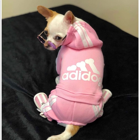 Adidog Pink Tracksuit - Picture 6 of 8